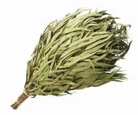 веник эвкалиптовый в уп. банные штучки